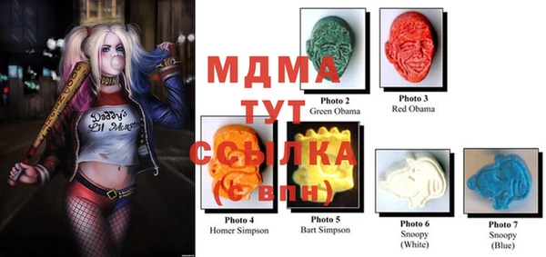крисы Няндома